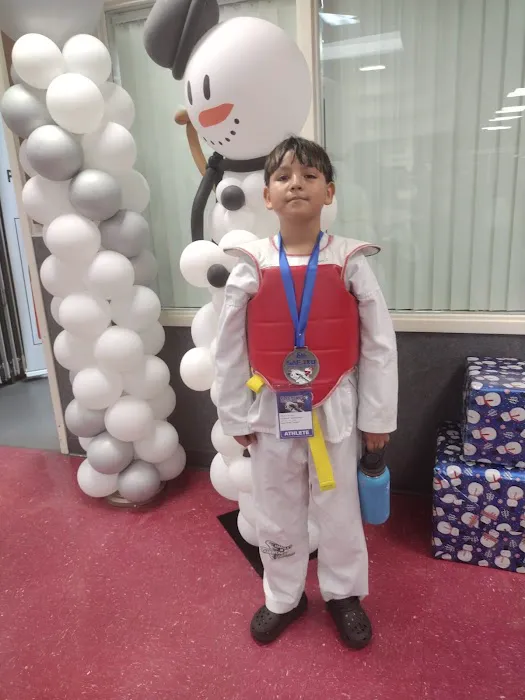 CTF Chanax's Taekwondo Fighters Picture 6