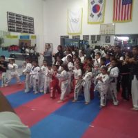 D.K. Tae Kwon Do Academy-Pico ico