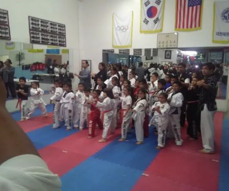 D.K. Tae Kwon Do Academy-Pico