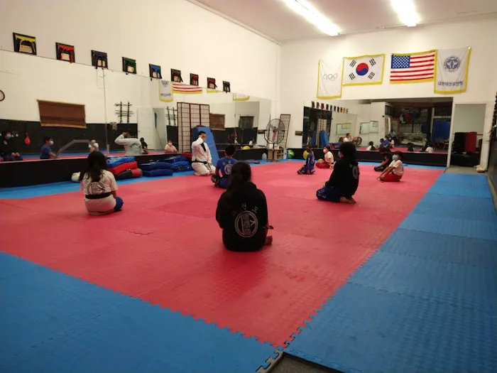 D.K. Tae Kwon Do Academy-Pico Picture 3