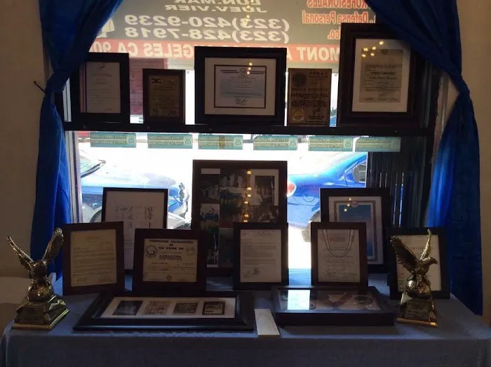 Gym Black Hodoris Taekwondo Picture 6