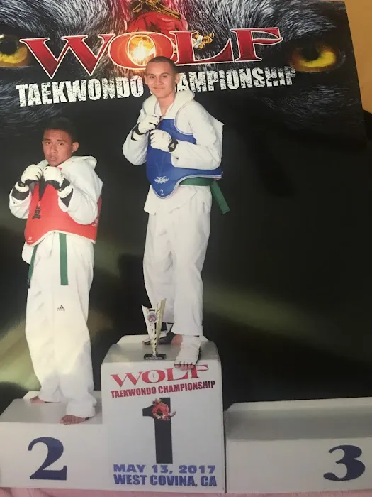 Gym Black Hodoris Taekwondo Picture 4