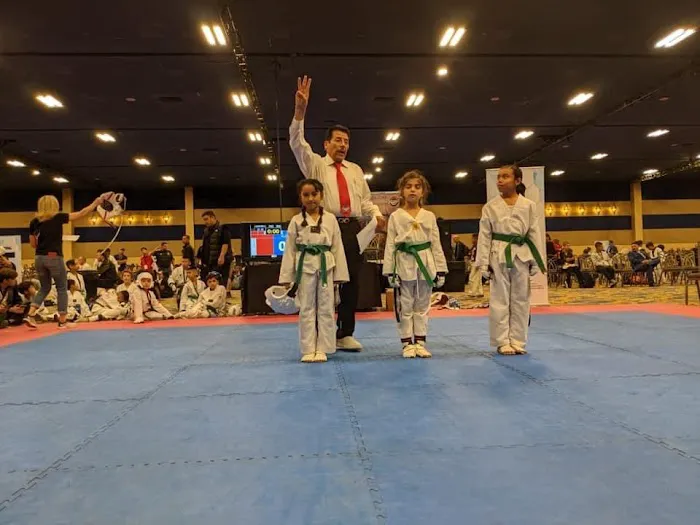 Gym Black Hodoris Taekwondo Picture 10