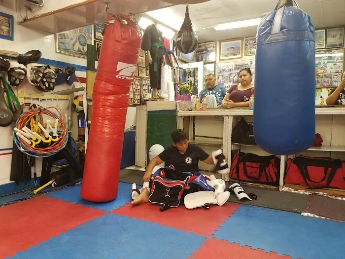 Azteca Taekwondo Center Picture 3