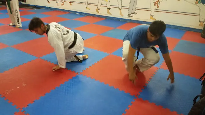 Azteca Taekwondo Center Picture 5