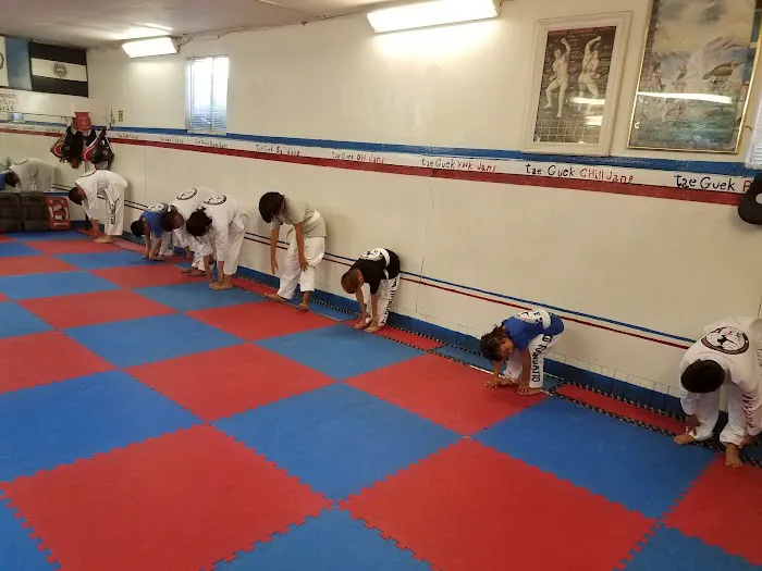 Azteca Taekwondo Center Picture 8