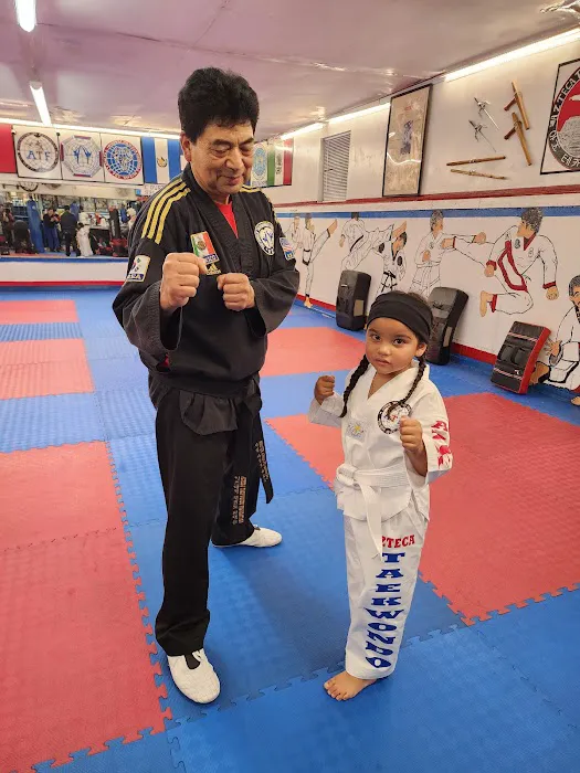 Azteca Taekwondo Center Picture 9