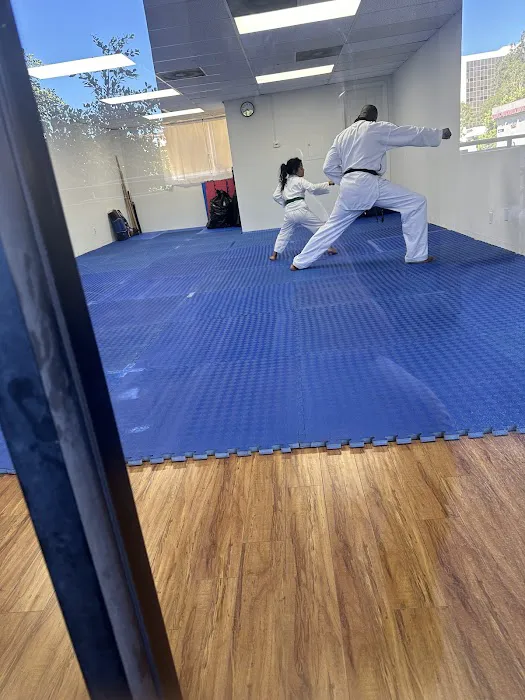 JS Taekwondo Picture 2