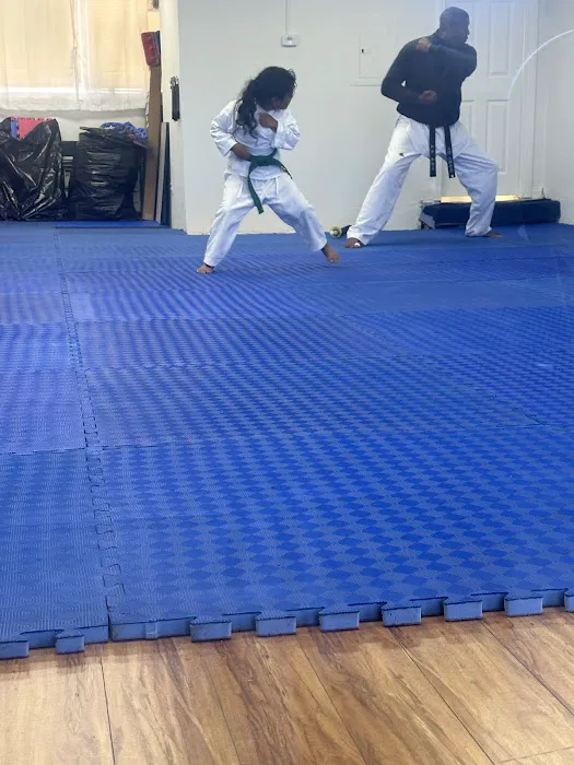 JS Taekwondo Picture 3