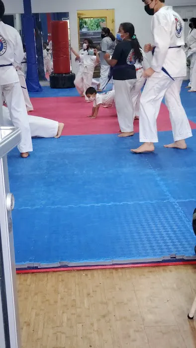 Tiger Black Belt Center Picture 6