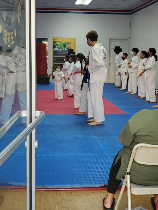 Tiger Black Belt Center Picture 4