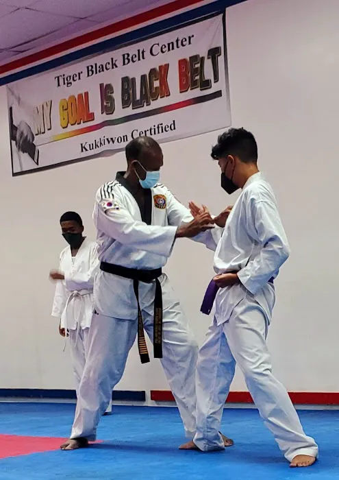 Tiger Black Belt Center Picture 9
