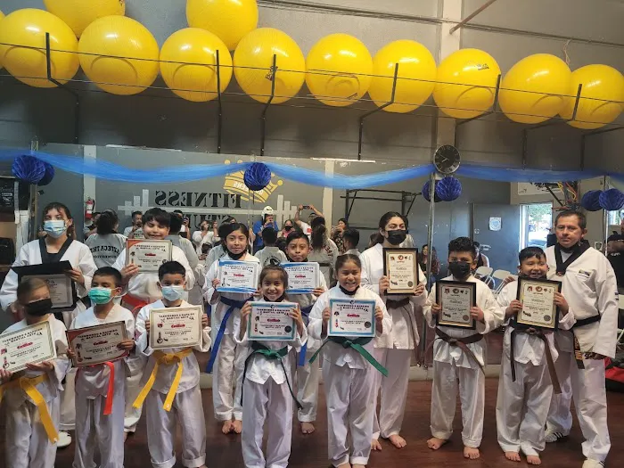 Taekwondo & hapkido martial arts Picture 1