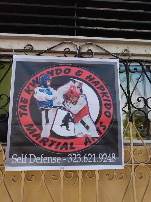 Taekwondo & hapkido martial arts Picture 3