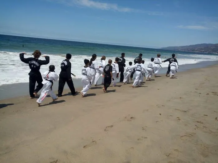 Best US Tae-Kwon DO Academy Picture 1