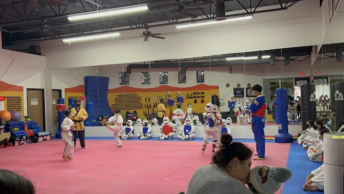 Best US Tae-Kwon DO Academy Picture 3