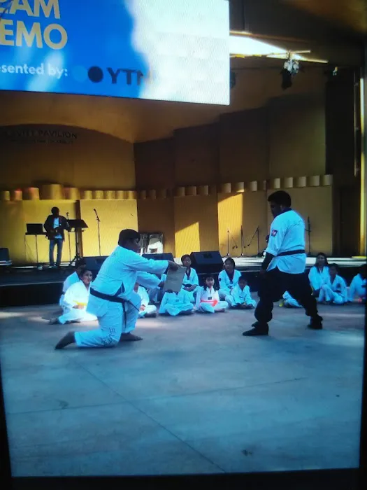 Choong Hyo Mission Taekwondo Picture 10