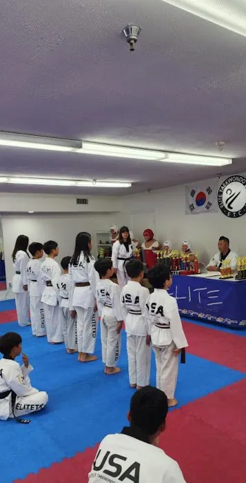 Elite Taekwondo Picture 1