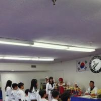 Elite Taekwondo ico