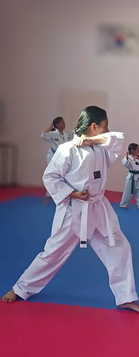 THP TAEKWONDO Picture 4