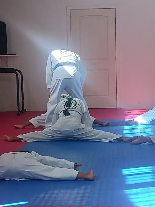 THP TAEKWONDO Picture 1