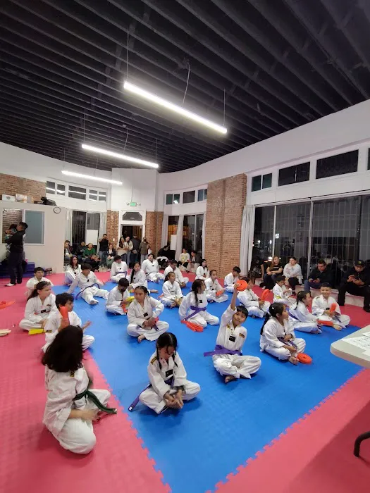 THP TAEKWONDO Picture 7