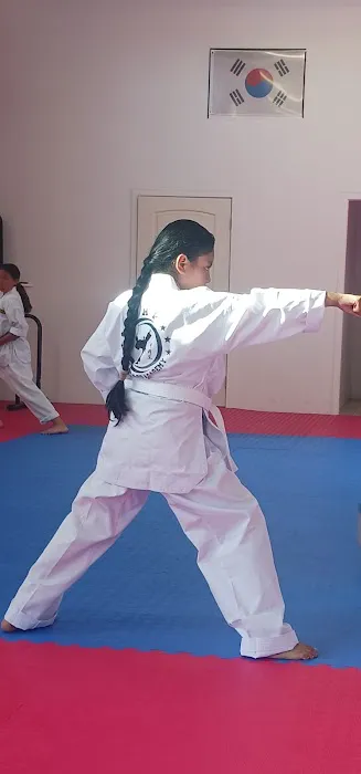 THP TAEKWONDO Picture 3