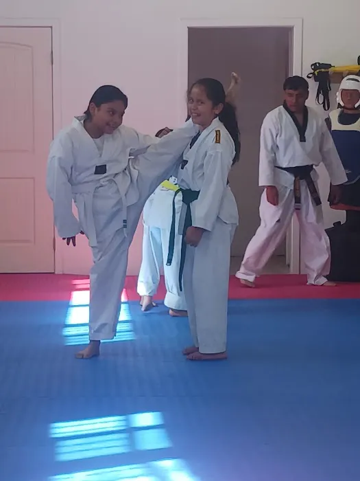 THP TAEKWONDO Picture 2