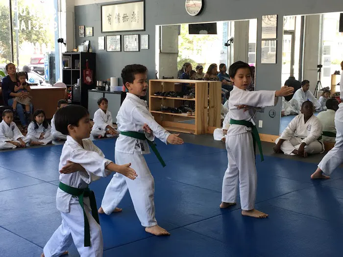 Knowles Karate Academy Picture 9