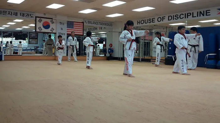 Youngjin Tekwondo Center Picture 4