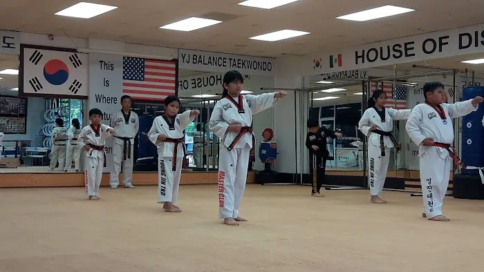Youngjin Tekwondo Center Picture 6