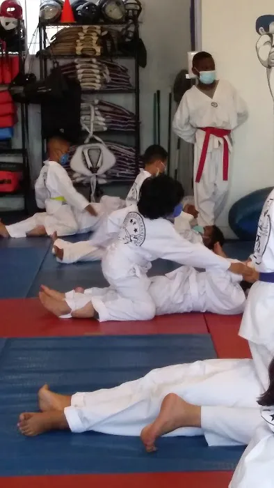 Taekwondo International Picture 3