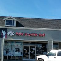 Taekwondo International ico