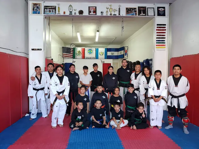 S23 jiujitsu Picture 2