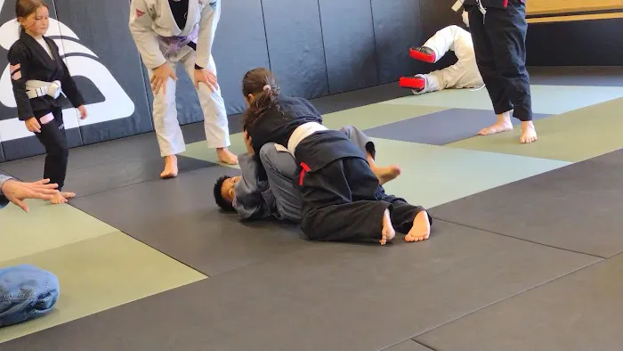 S23 jiujitsu Picture 5