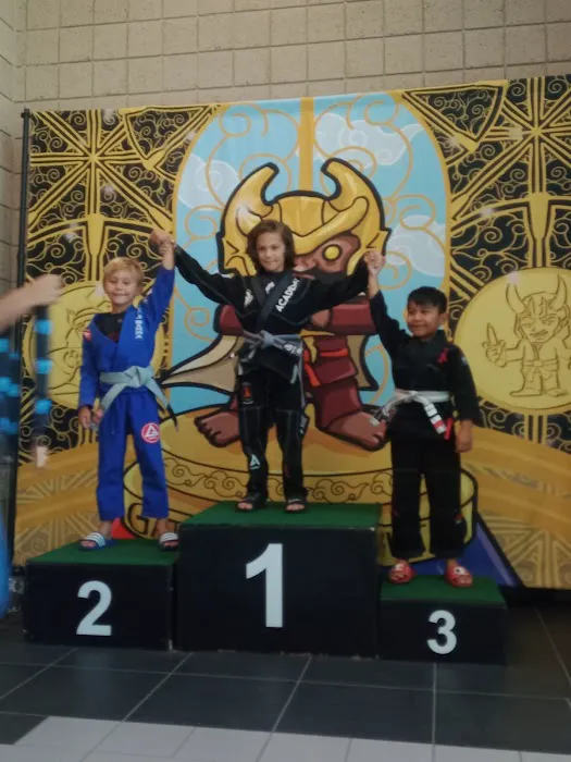 S23 jiujitsu Picture 7