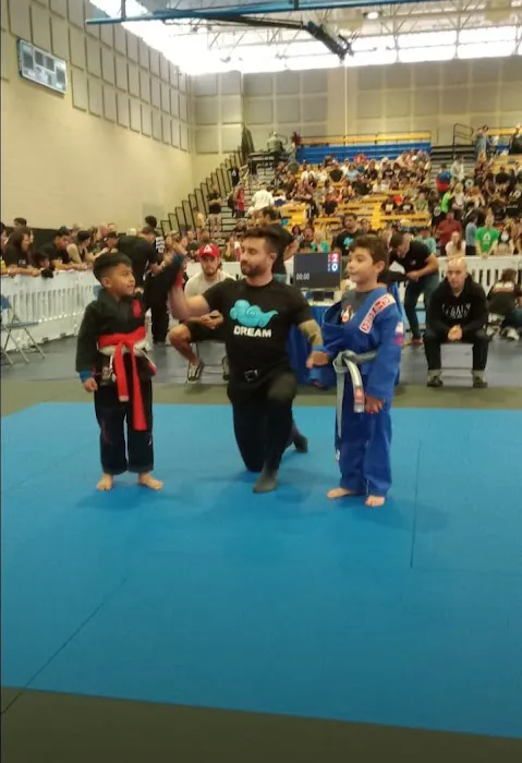 S23 jiujitsu Picture 8