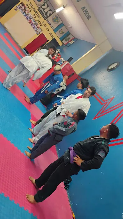 S23 jiujitsu Picture 10