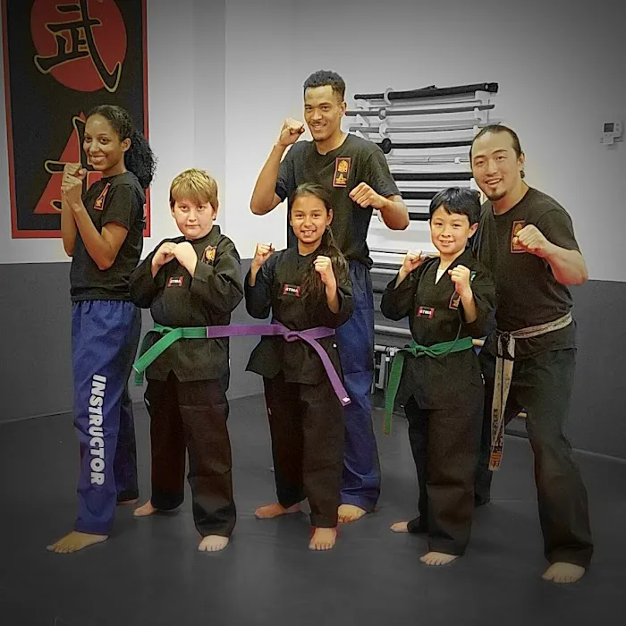 MUSA MARTIAL ARTS ACADEMY Picture 3