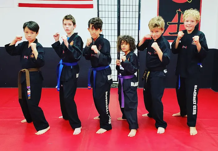 MUSA MARTIAL ARTS ACADEMY Picture 10
