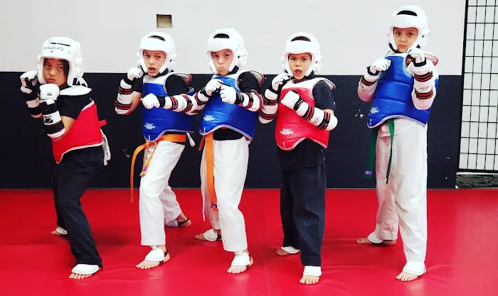 MUSA MARTIAL ARTS ACADEMY Picture 8