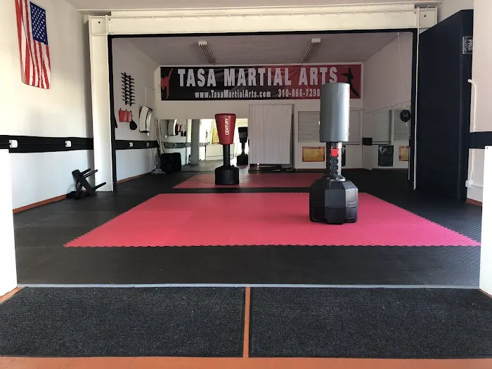 TASA Martial Arts Picture 6