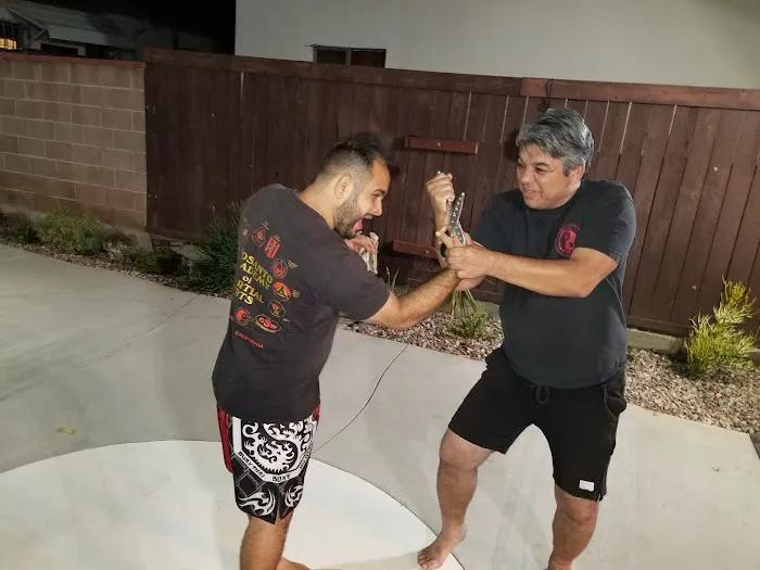 Urban Kombat Picture 1