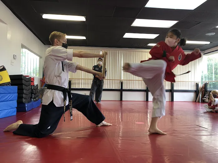 Sky Martial Arts L.A. - Masters United Picture 1