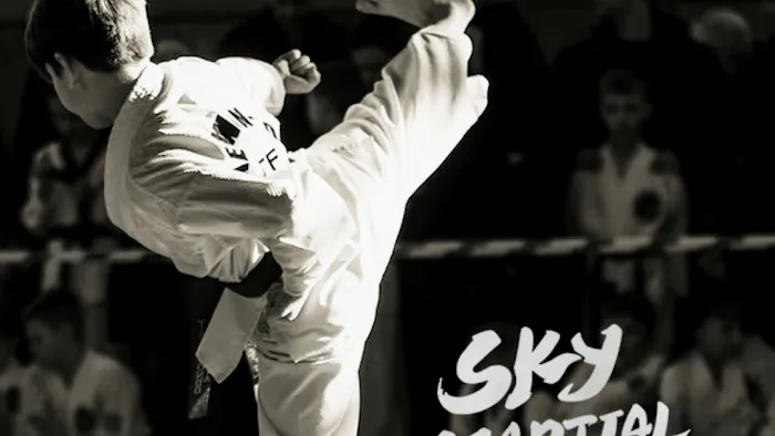 Sky Martial Arts L.A. - Masters United Picture 8
