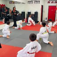 Crescent Moon Karate ico