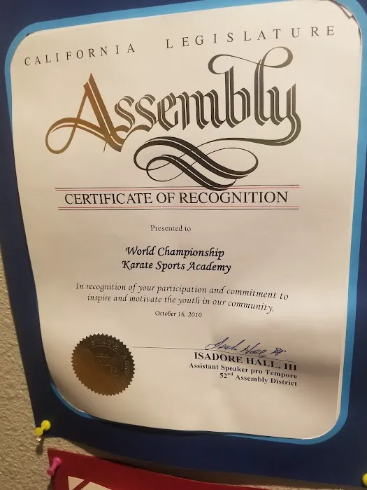 World Championship Karate Sports Academy Picture 2