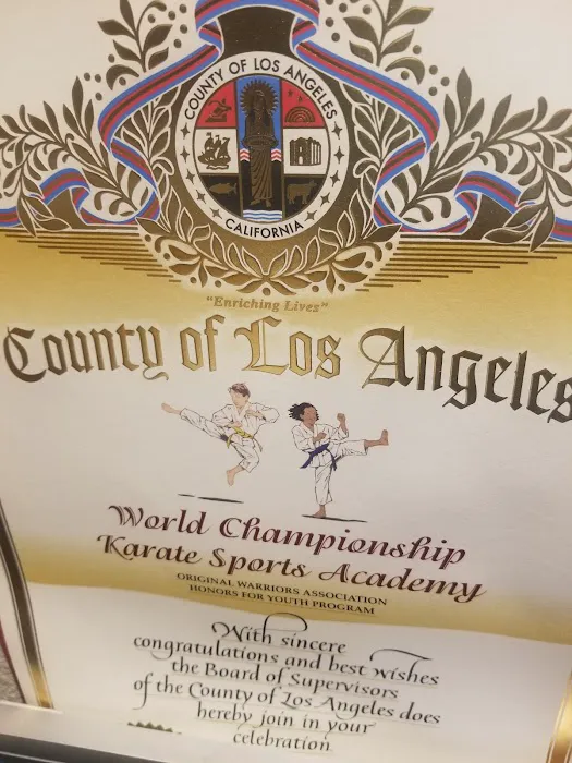 World Championship Karate Sports Academy Picture 6