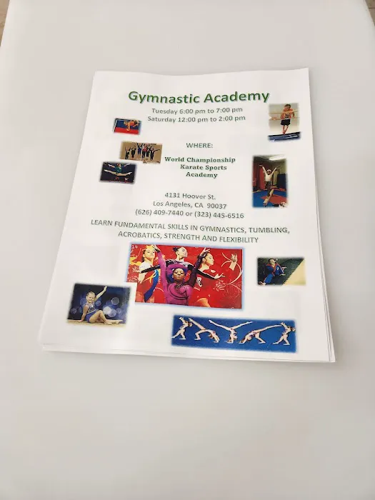 World Championship Karate Sports Academy Picture 10