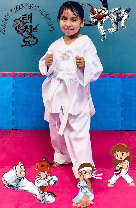 HAEMA TAEKWONDO ACADEMY Picture 4
